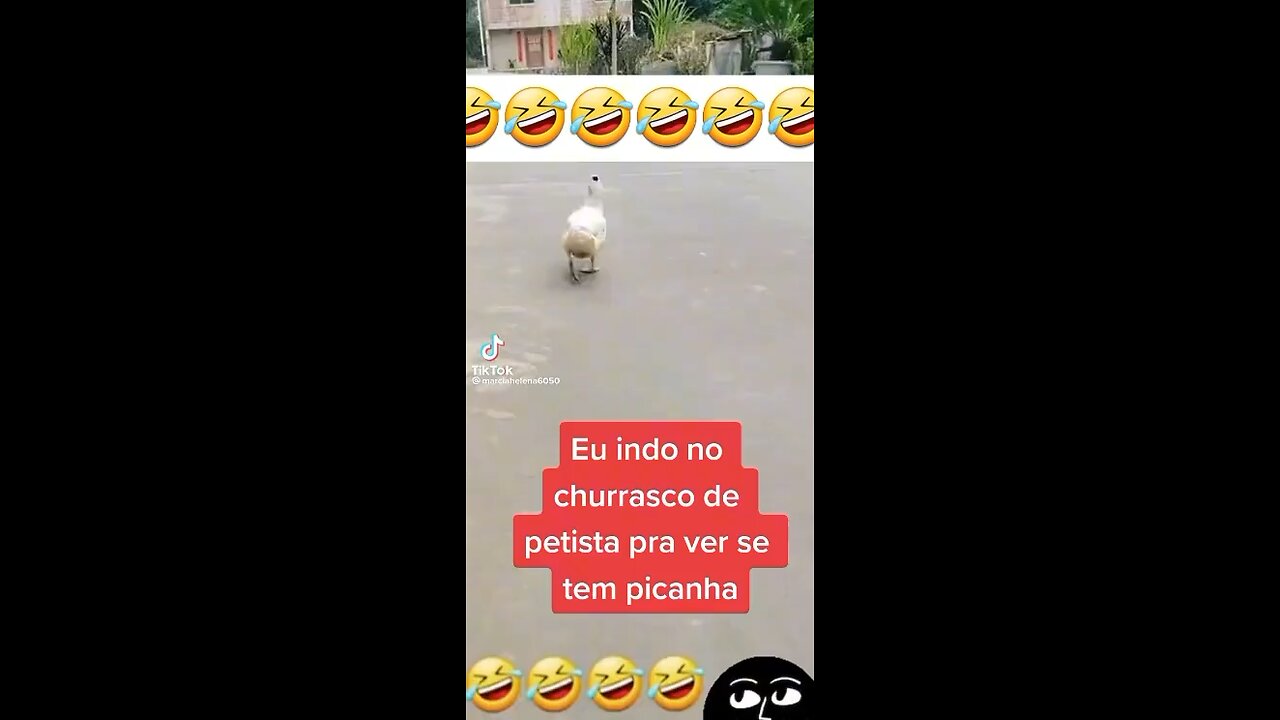 Eu indo para o churrasco de picanha de Petista jumento