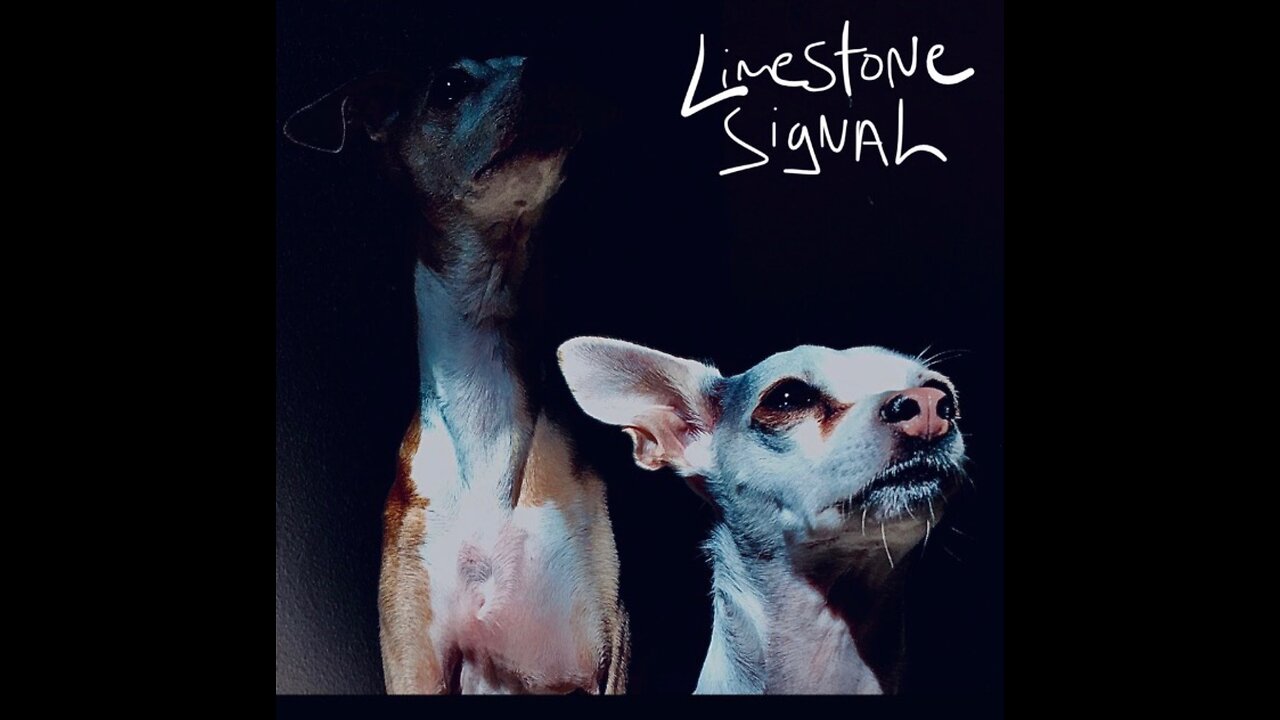 limestone signal all vinyl mix 2