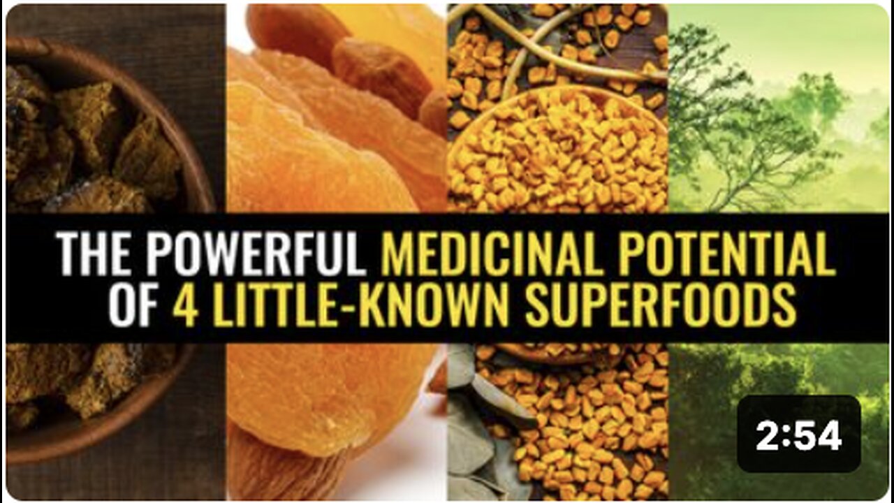 The powerful medicinal potential of 4 little-known superfoods