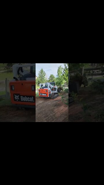 Not the lowest bider!