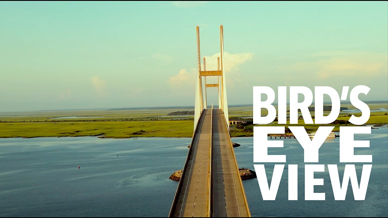 MY LITTLE [DRONE] VIDEO NO. 154--Bird's Eye View of the Sydney Lanier Bridge