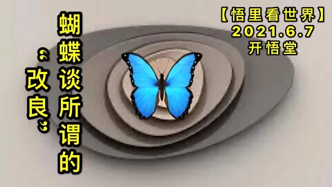 KWT1888蝴蝶谈所谓的“改良”20210607-11【悟里看世界】