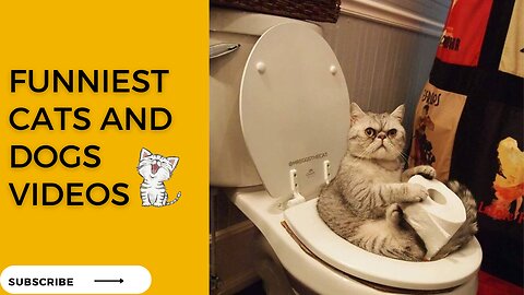 Funniest Cats And Dogs Videos - Best Animal funny Videos 2023