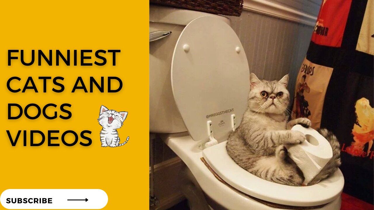 Funniest Cats And Dogs Videos - Best Animal funny Videos 2023
