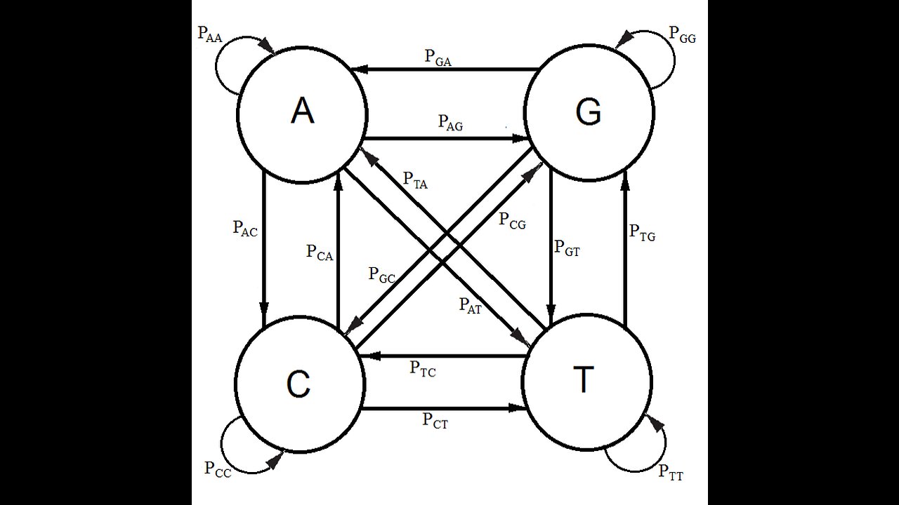 The Kishony Mega-Plate Experiment, a Markov Process