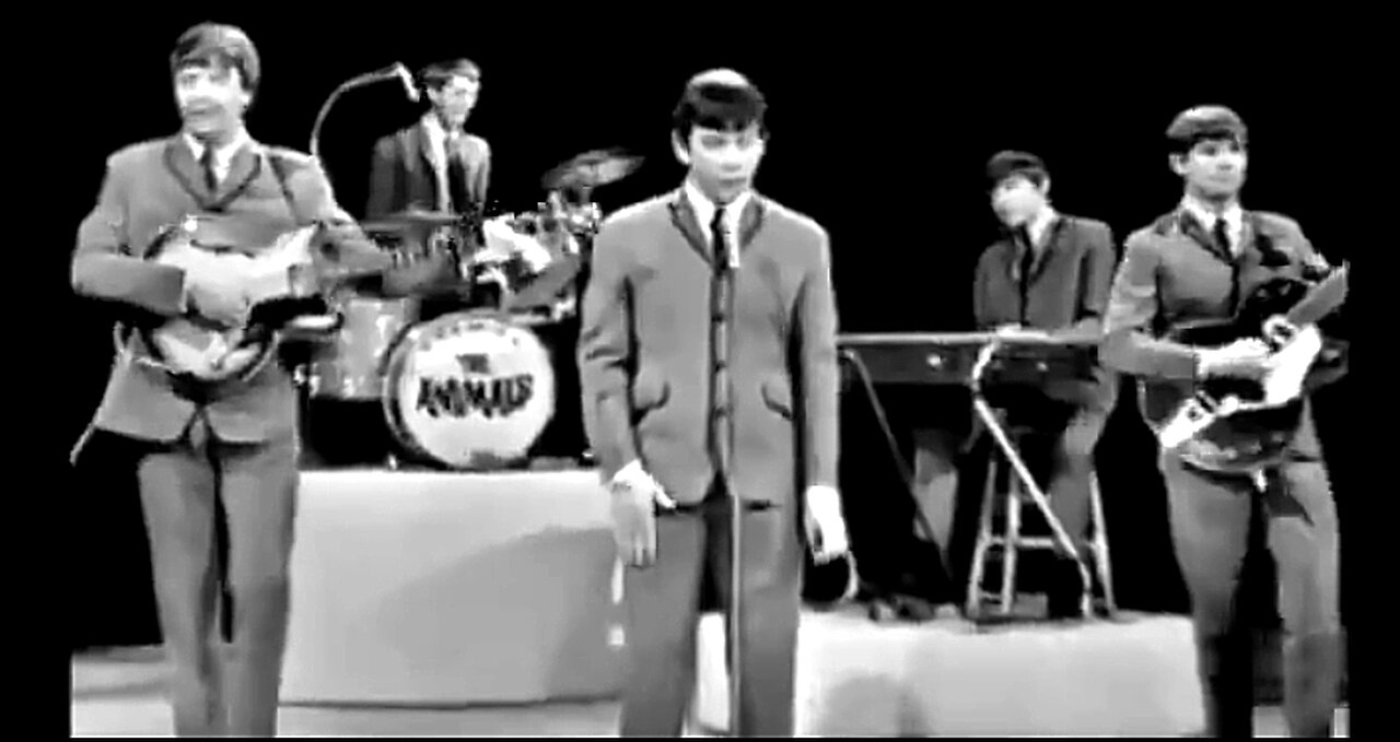 THE ANIMALS - HOUSE OF THE RISING SUN (LIVE) ON THE ED SULLIVAN SHOW 🎸