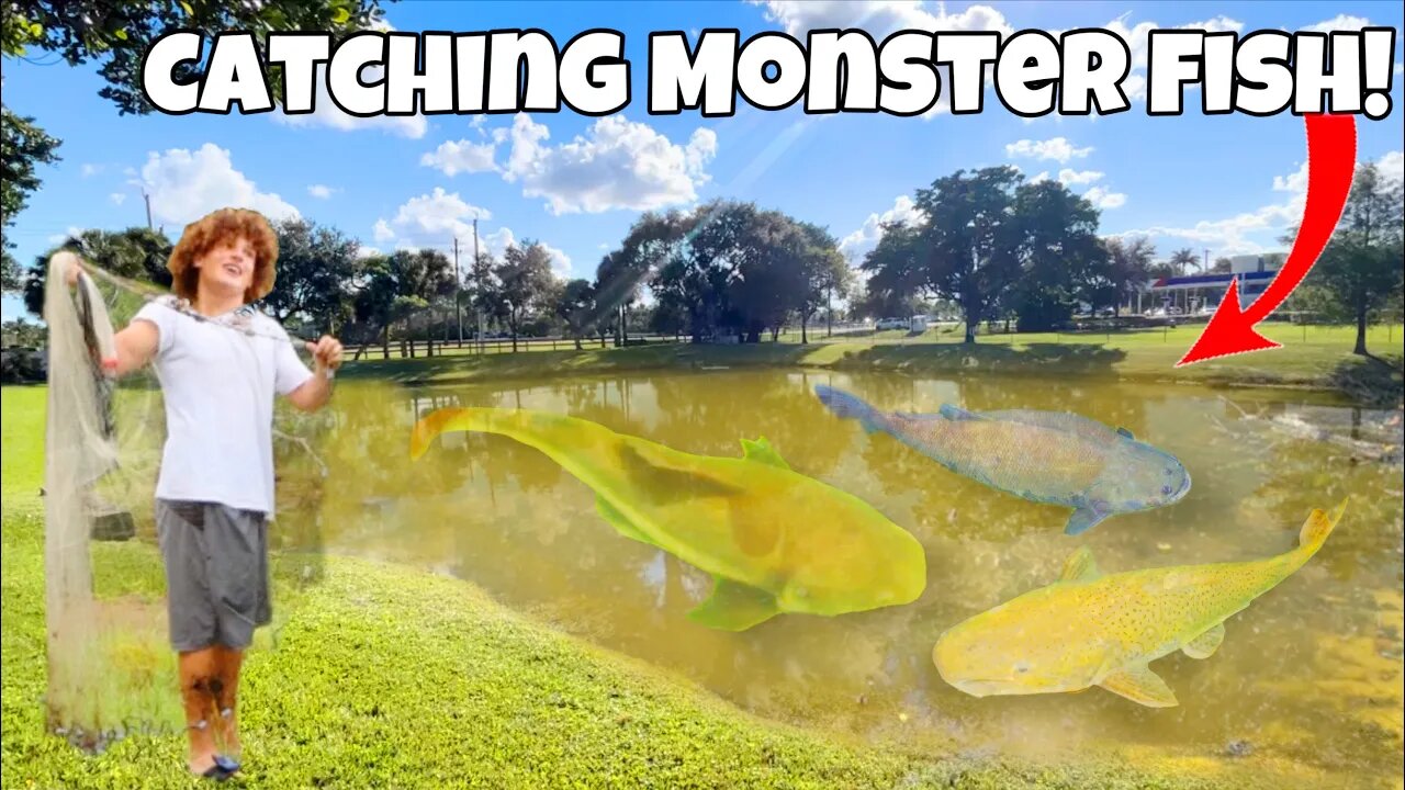 I Caught MONSTER FISH From Backyard POND!