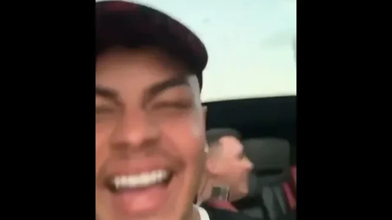 PITBULL TA NA PISTA DORMIU DENTRO DO CARRO [ PITBULL TA PIXTA ] MEMES 2021