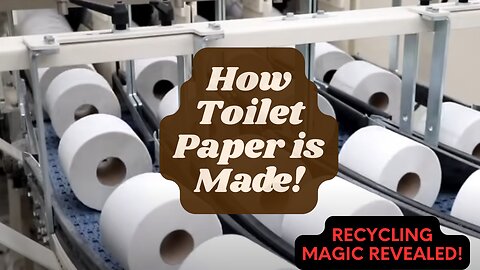 From Recycled Paper to Toilet Rolls: The Amazing Process of Making Toilet Paper