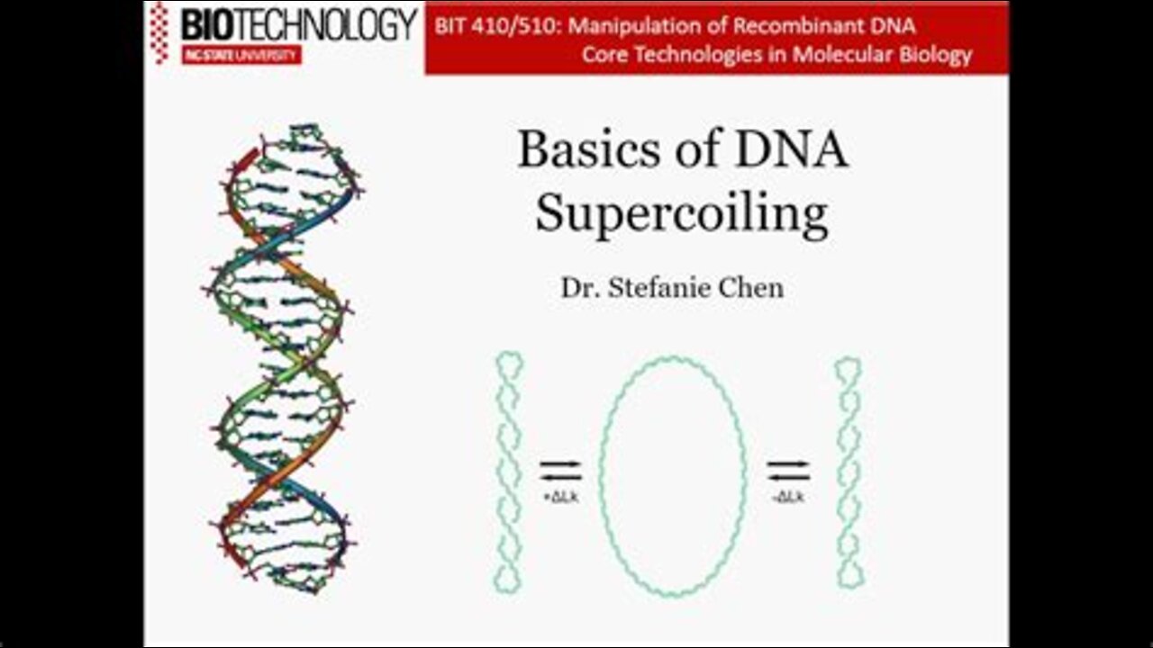 Supercoiling Muscles