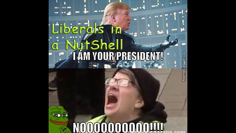 Liberals in a NutShell