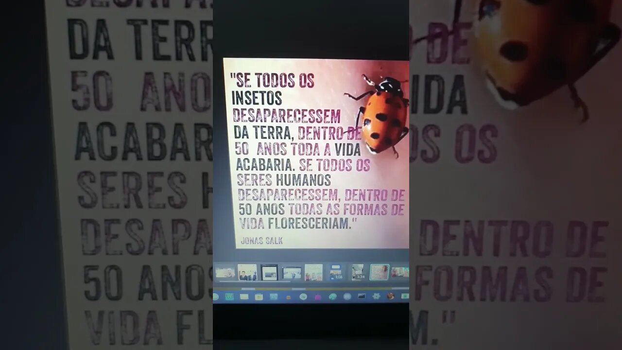 se todos os seres humanos desaparecerem dentro de 50 anos todas as formas de vida floresceriam