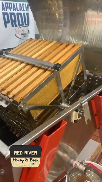 Quick peek at the honey extractor 👀🍯