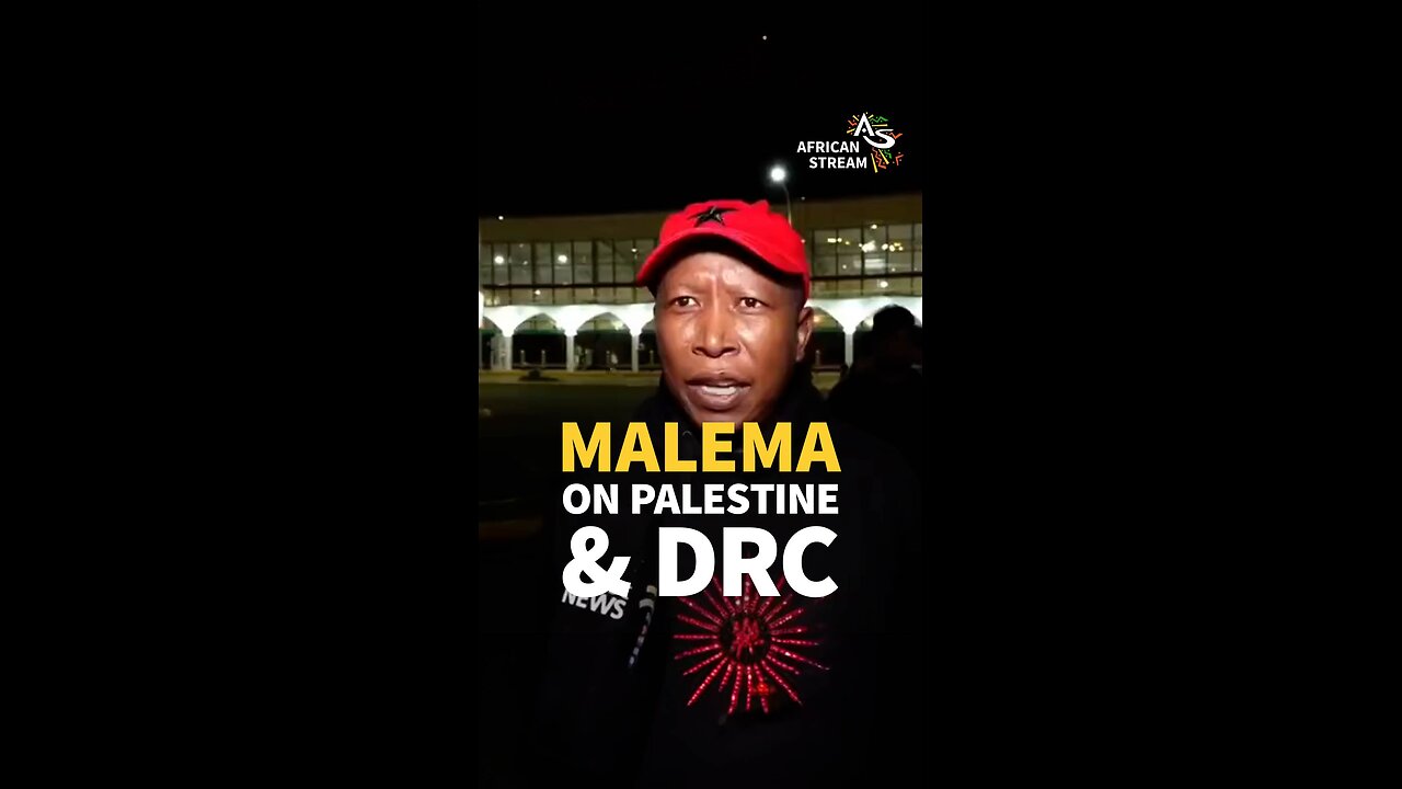 MALEMA ON PALESTINE & DRC