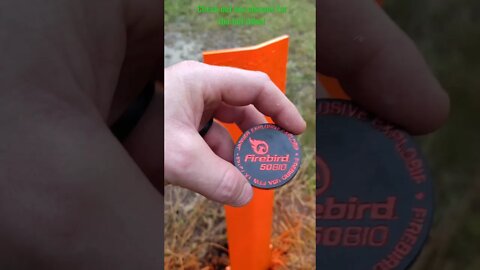 Shooting Exploding Targets (22lr) #shorts