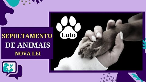 Pets Podem ser Enterrados em Cemitérios Humanos?