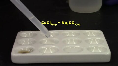 CHM1032L Unit 8 Chemical Reactions Experiment Video