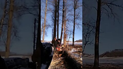 Dec 07, 2021 - Out getting some #firewood #winterwood in #alberta