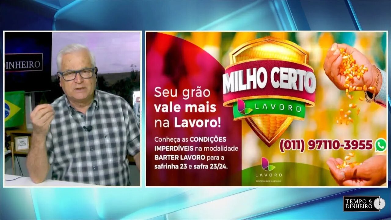 Lavoro: milho tem valorização e bom momento para operação de Barter