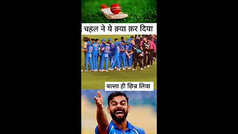 world cup match 2023 Virat Kohli run master full support