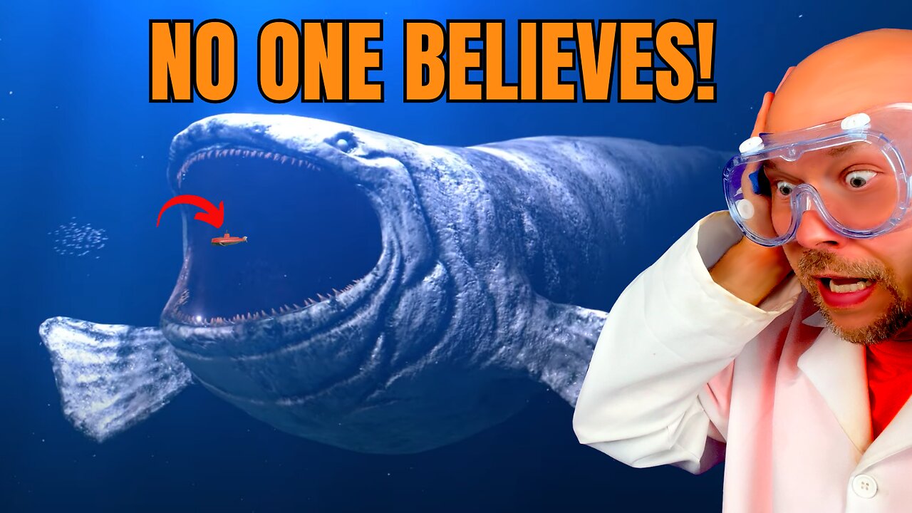 Ocean Mysteries