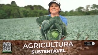 Com SH -24 da Lottus Biosoluções agricultor alcança mais produtividade