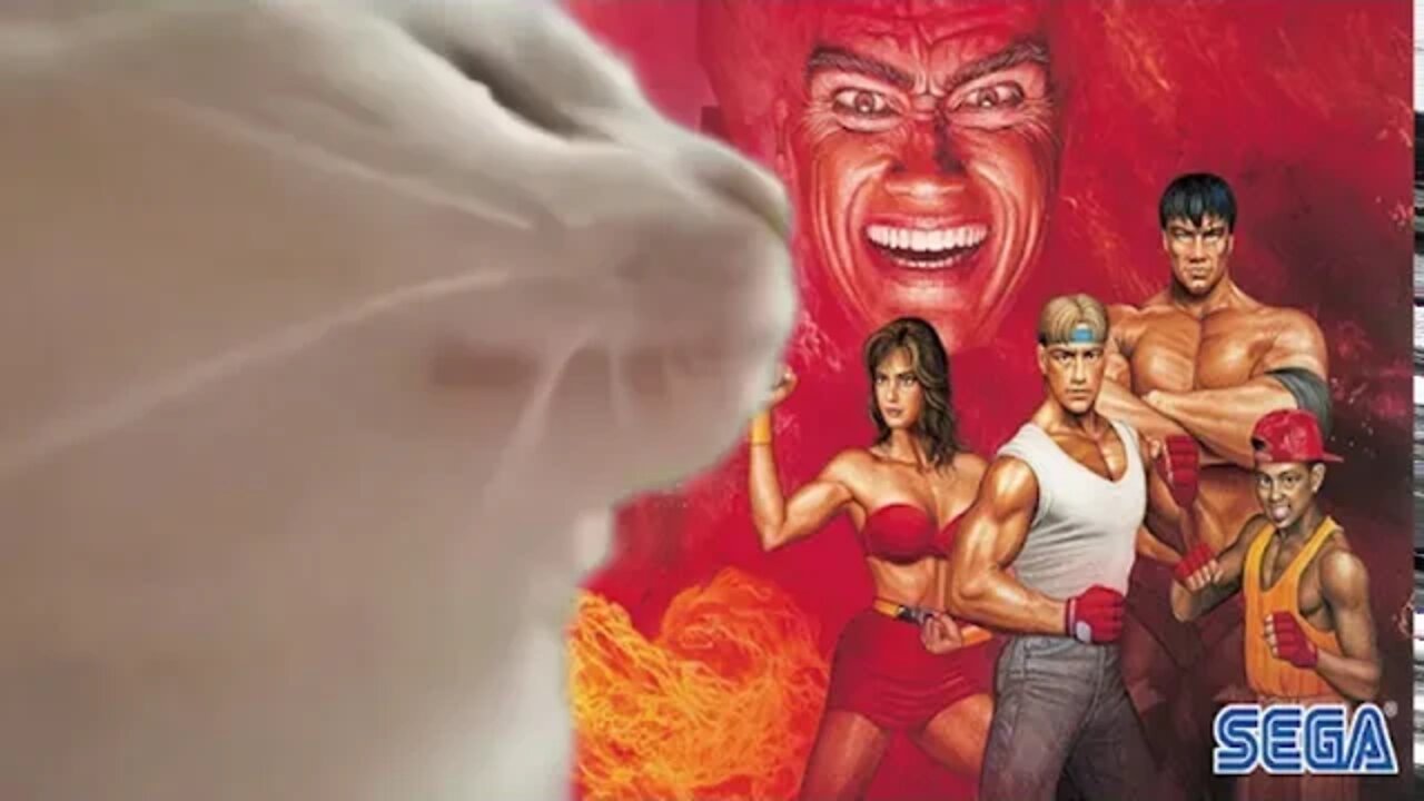 Cat jamming out to Streets of Rage 2 OST - 😎Benjamillion