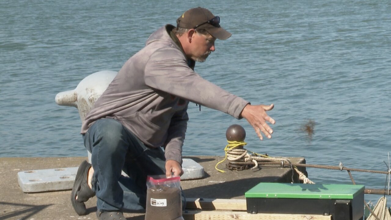 Restock, Release, Repeat: Youngstown salmon conservation effort underway with hopes to expand