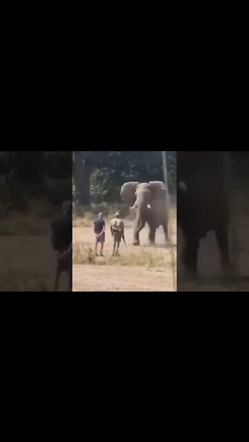 ۲۹ ژوئیهٔ ۲۰۲۲