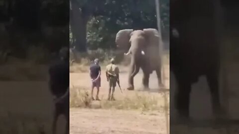 ۲۹ ژوئیهٔ ۲۰۲۲