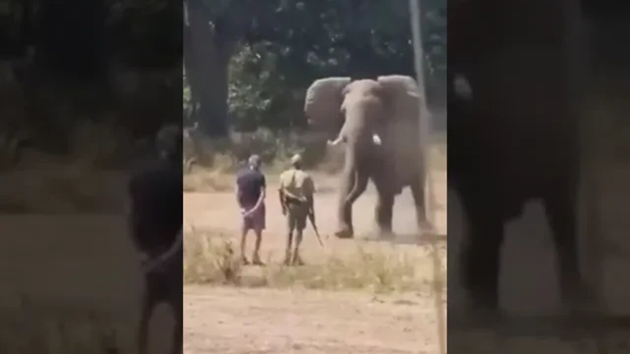 ۲۹ ژوئیهٔ ۲۰۲۲