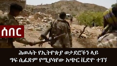 Ethiopia: ሰበር ቪድዮ - ሕወሓት የኢትዮጵያ ወታደሮችን ላይ ግፍ ሲፈጽም የሚያሳየው አጭር ቪድዮ ተገኘ