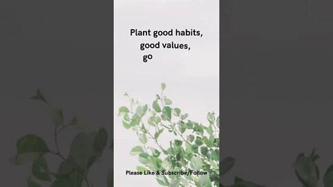 Plant Intentionally