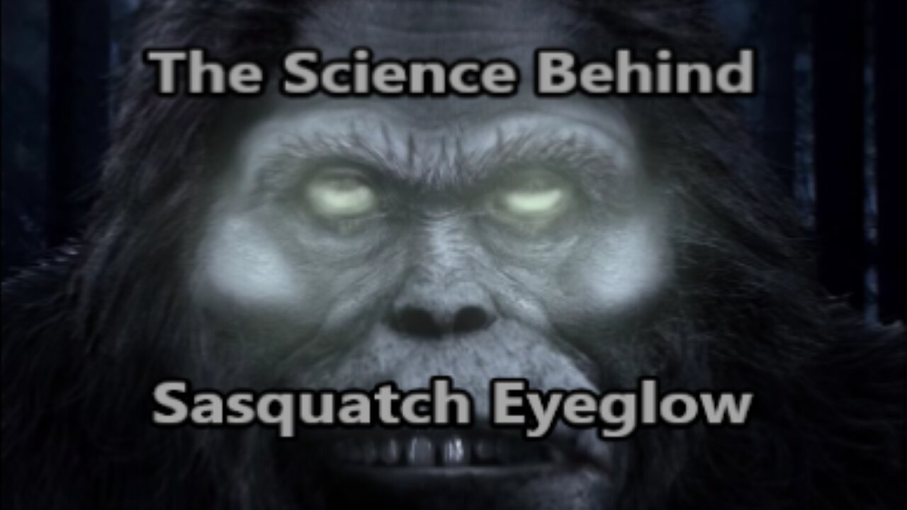 World Bigfoot Radio #148 pt.1 ~ The Science of Sasquatch Eyeglow/ Richard Soule