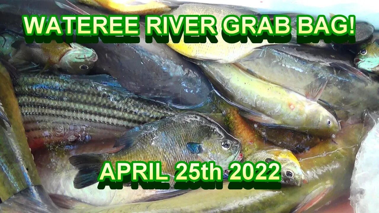 Wateree River Grab Bag! Bream & Catfish Fishing...