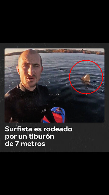 Tiburón con mandíbula descomunal rodea a un surfista en Escocia