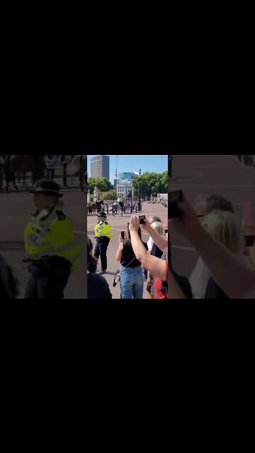 Horses play up #buckinghampalace