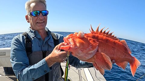 Deep Jigging with Trokar Assist Hooks Slow Pitch for Giant Rockfish