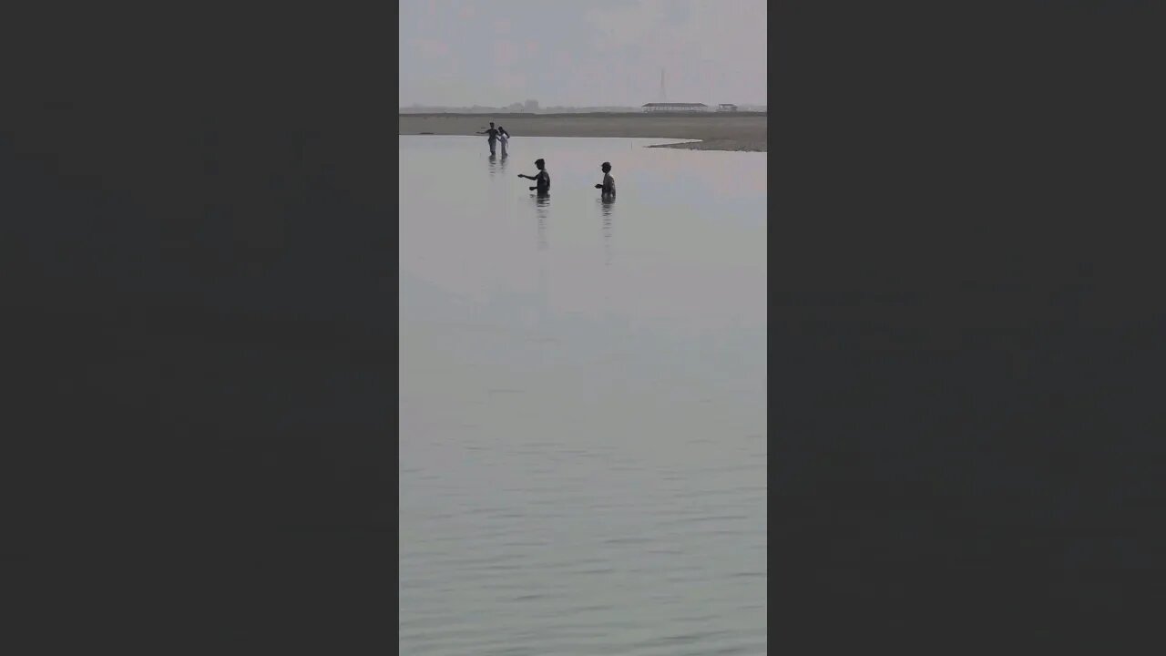 Fishing Point Video 2023 #fishing #shorts #short #fish #youtubeshorts #shortvideo #viral #trending