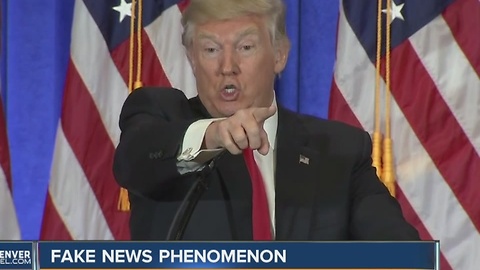 Fake news phenomenon