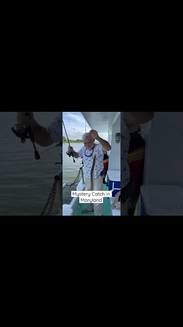 Mystery Catch in Maryland #Shorts