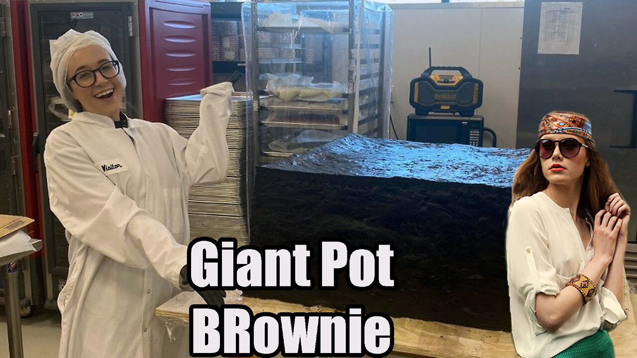 Massachusetts Pot brownie🟫 Breaks World Record