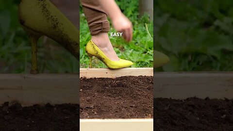 Effective and easy gadgets for your garden 🌿