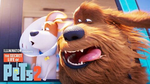 The Secret Life of Pets 2 | Max and Duke Go on a Road Trip! | Pets Channel33