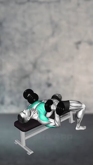 Chest and Triceps Exercises