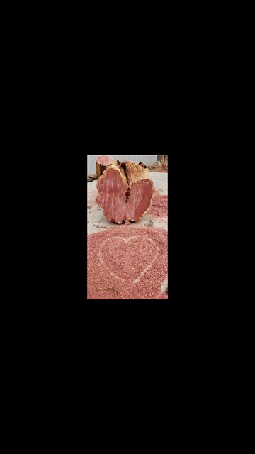 Amazing Red Cedar Heart wood for DIY rustic projects! #shortsvideo2022