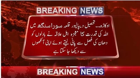قدرت کا کرشمہ، اوکاڑہ۔۔تحصیل دیپالپور بادلوں نے دھان کی فصل سے پانی لیا #Obaid Noor Institute