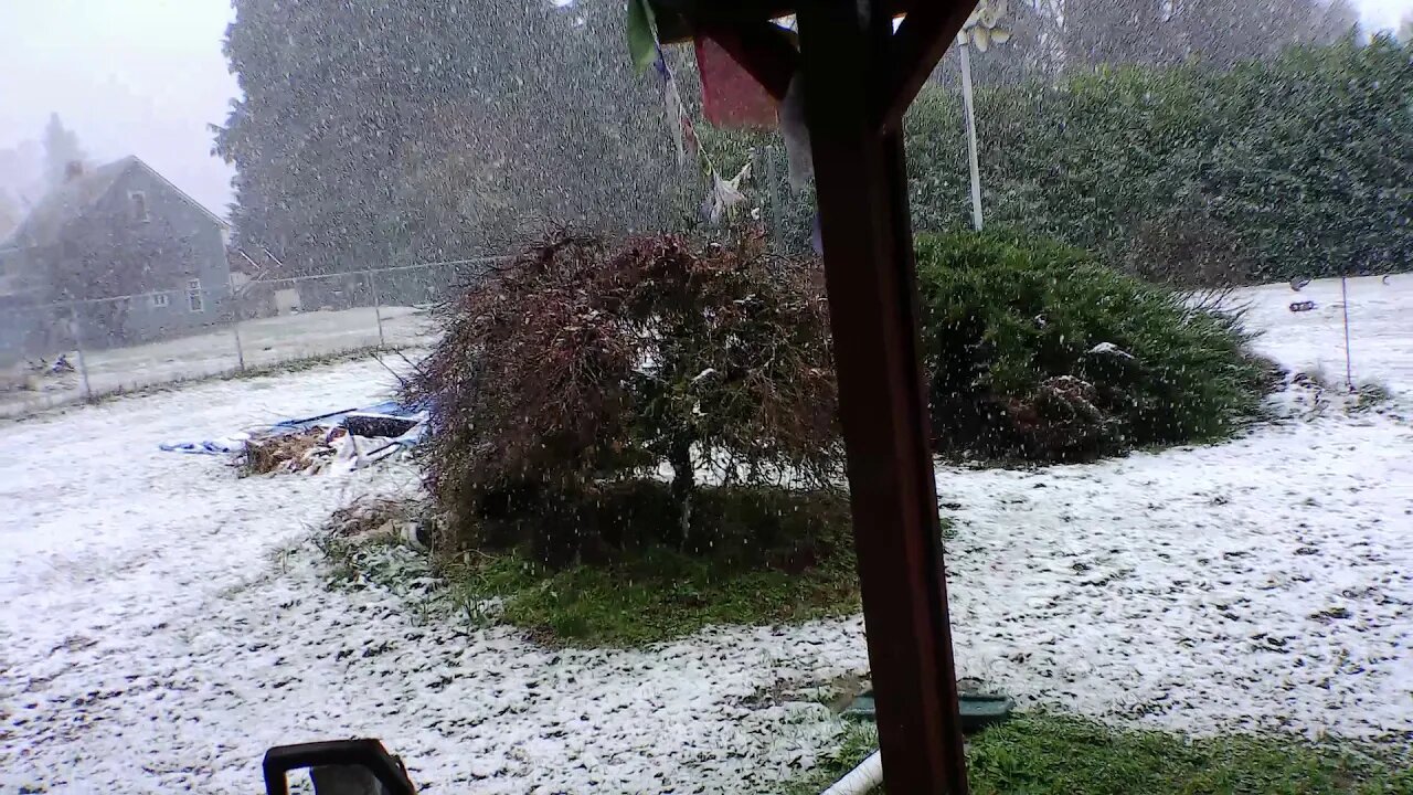 snow Jan14 2020 Oregon