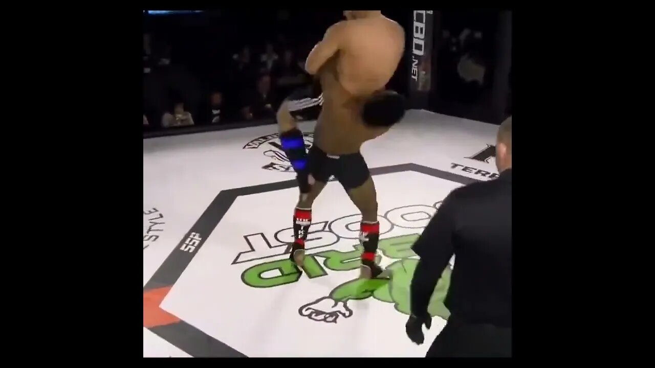 MMA Fighter KO Slam