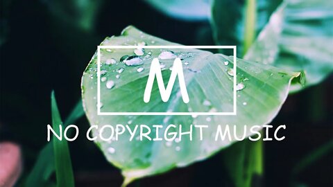 Dizaro - Aurora Borealis（Mm No Copyright Music）